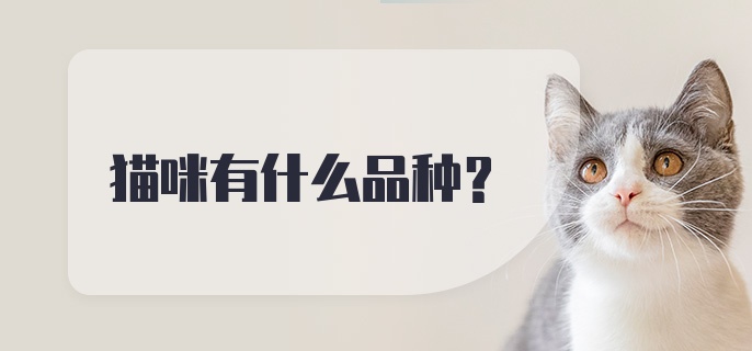 猫咪有什么品种？