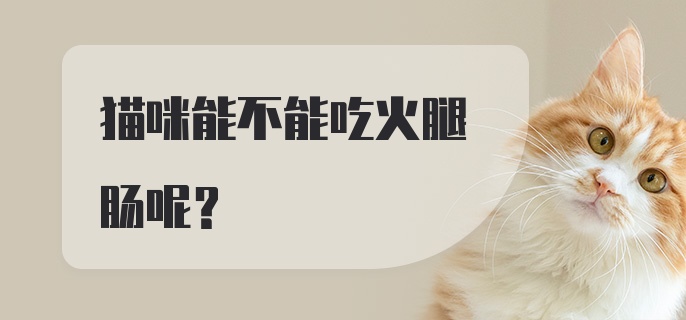 猫咪能不能吃火腿肠呢？