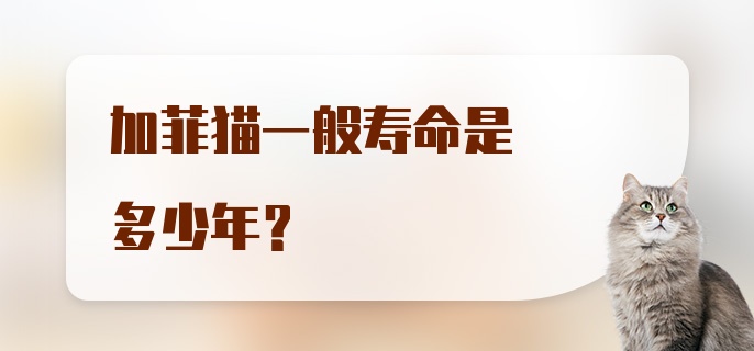 加菲猫一般寿命是多少年？