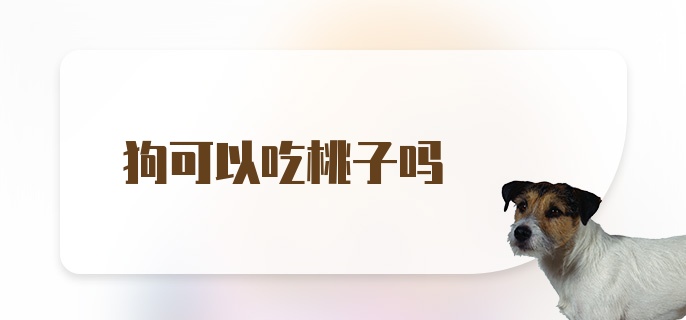 狗可以吃桃子吗