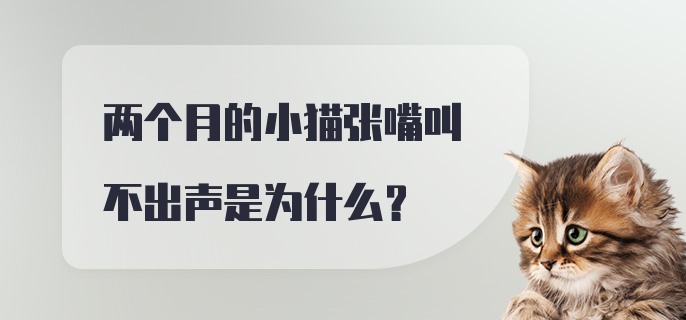 两个月的小猫张嘴叫不出声是为什么？