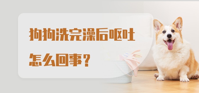 狗狗洗完澡后呕吐怎么回事？