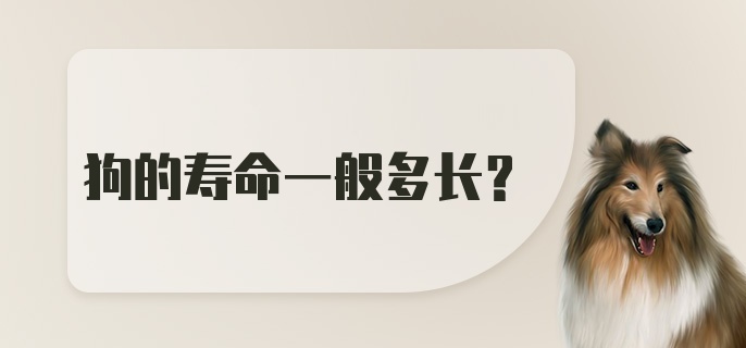 狗的寿命一般多长？