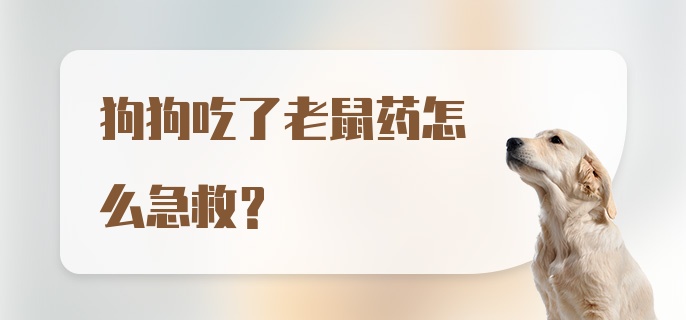 狗狗吃了老鼠药怎么急救？