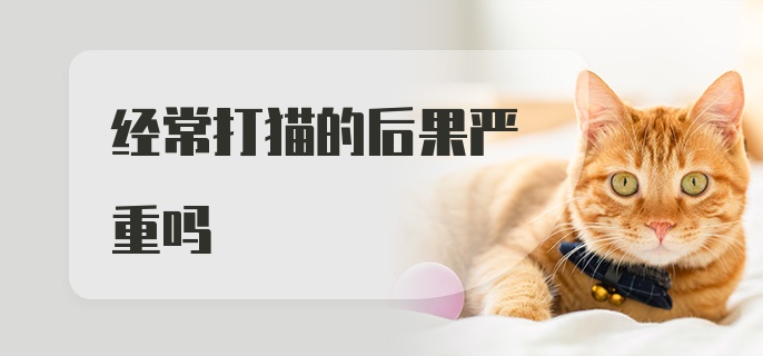 经常打猫的后果严重吗