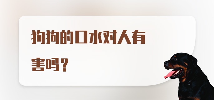 狗狗的口水对人有害吗？