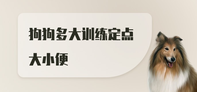 狗狗多大训练定点大小便