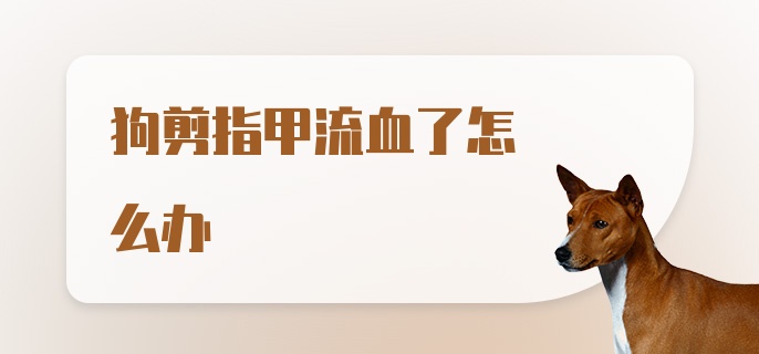 狗剪指甲流血了怎么办