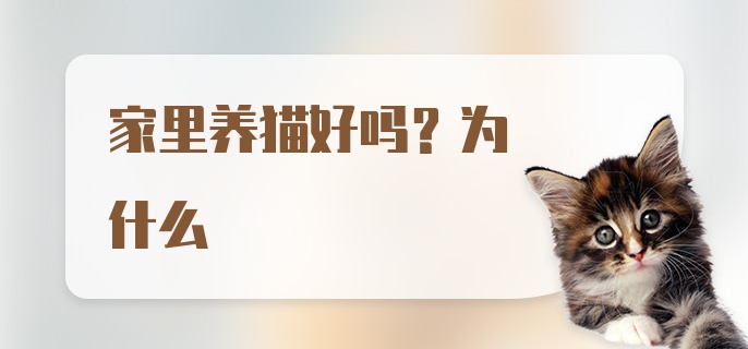 家里养猫好吗？为什么