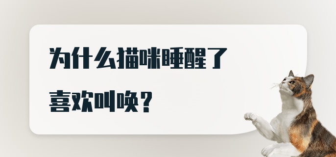 为什么猫咪睡醒了喜欢叫唤？