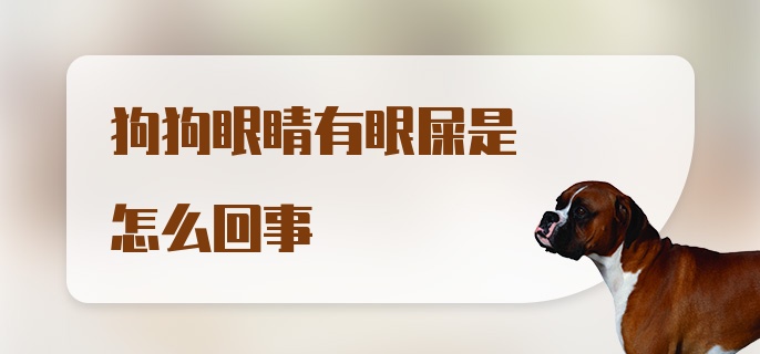 狗狗眼睛有眼屎是怎么回事