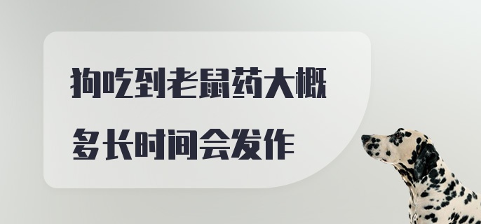 狗吃到老鼠药大概多长时间会发作