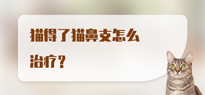 猫得了猫鼻支怎么治疗？