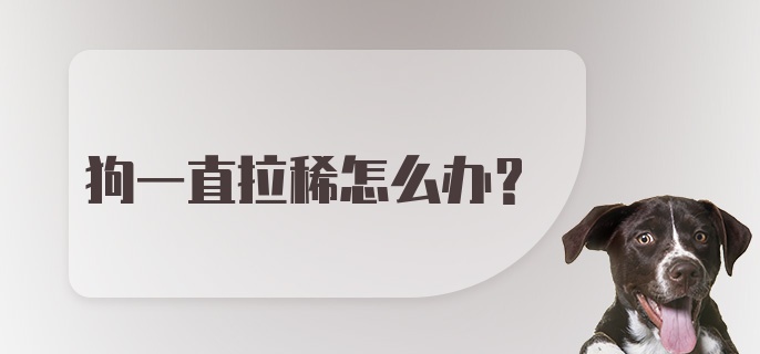 狗一直拉稀怎么办？