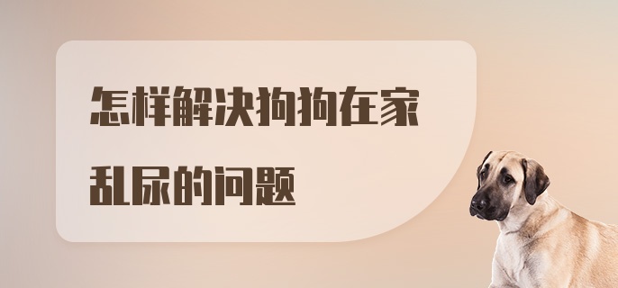 怎样解决狗狗在家乱尿的问题