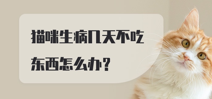 猫咪生病几天不吃东西怎么办？