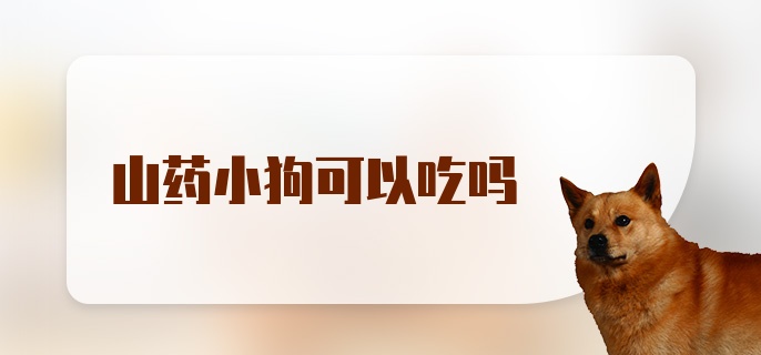 山药小狗可以吃吗