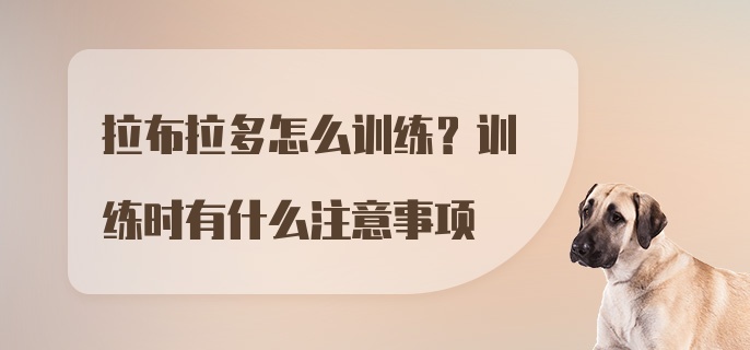 拉布拉多怎么训练？训练时有什么注意事项