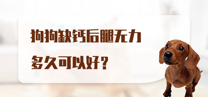 狗狗缺钙后腿无力多久可以好？