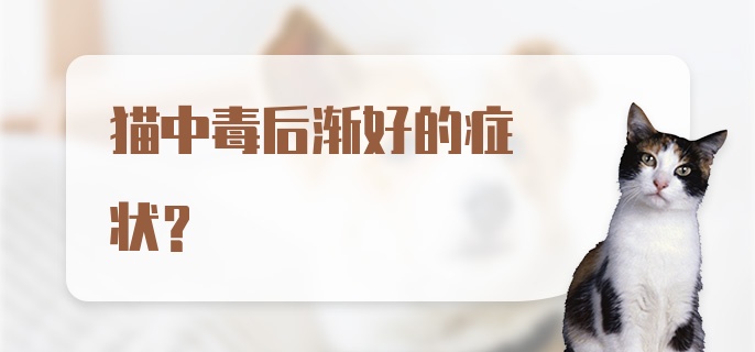 猫中毒后渐好的症状？