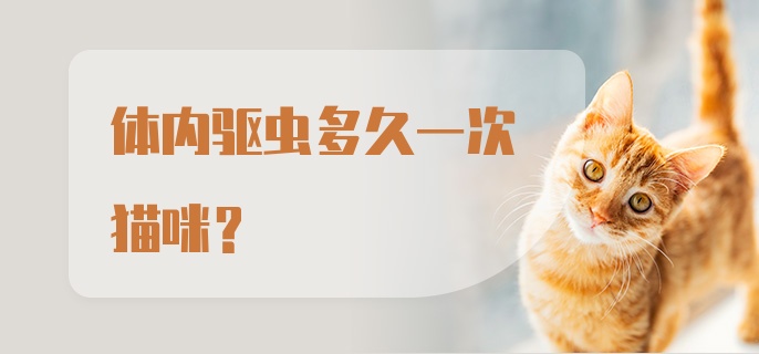 体内驱虫多久一次猫咪？