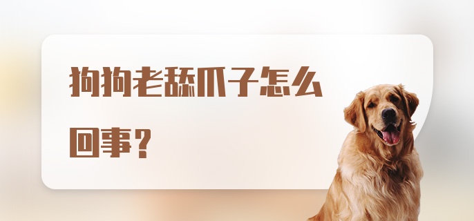 狗狗老舔爪子怎么回事？