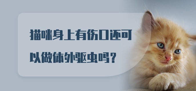 猫咪身上有伤口还可以做体外驱虫吗？