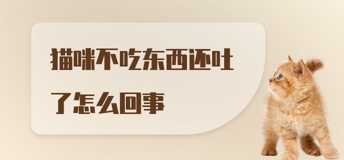 猫咪不吃东西还吐了怎么回事