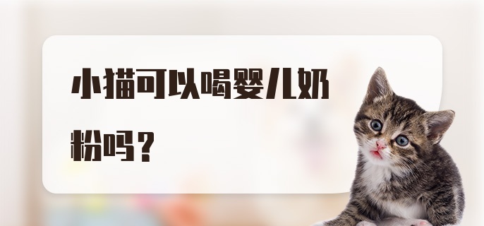 小猫可以喝婴儿奶粉吗？