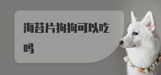 海苔片狗狗可以吃吗