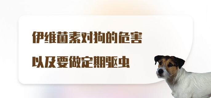 伊维菌素对狗的危害以及要做定期驱虫