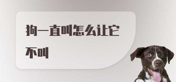 狗一直叫怎么让它不叫