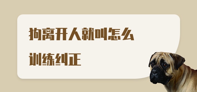 狗离开人就叫怎么训练纠正