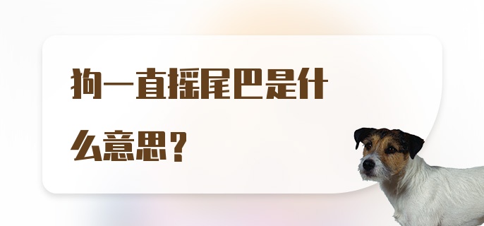 狗一直摇尾巴是什么意思？