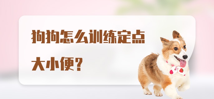 狗狗怎么训练定点大小便?