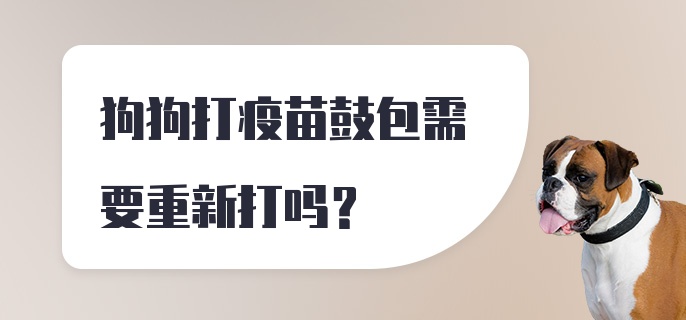 狗狗打疫苗鼓包需要重新打吗？