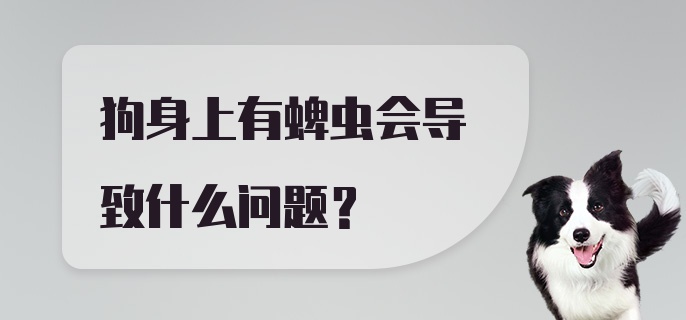 狗身上有蜱虫会导致什么问题？