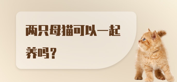 两只母猫可以一起养吗？