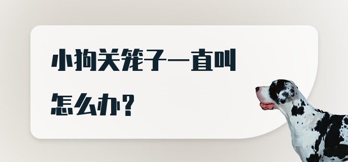 小狗关笼子一直叫怎么办？