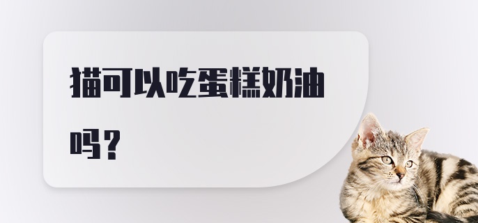 猫可以吃蛋糕奶油吗？