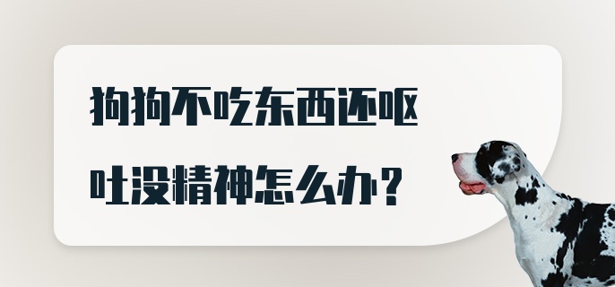 狗狗不吃东西还呕吐没精神怎么办？