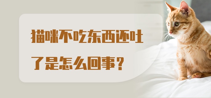 猫咪不吃东西还吐了是怎么回事？