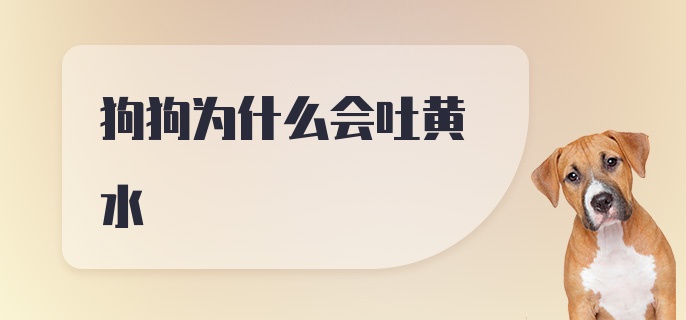 狗狗为什么会吐黄水