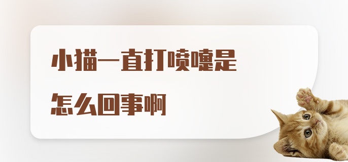 小猫一直打喷嚏是怎么回事啊