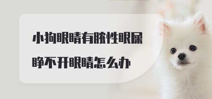 小狗眼睛有脓性眼屎睁不开眼睛怎么办