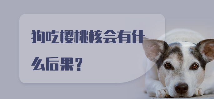 狗吃樱桃核会有什么后果？