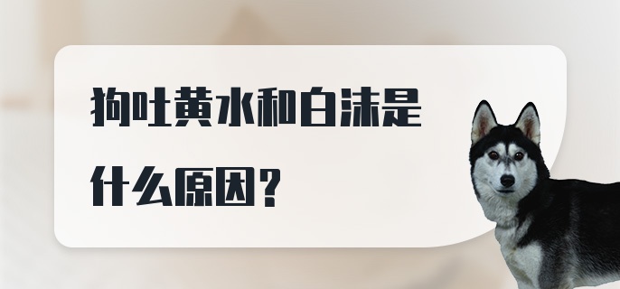 狗吐黄水和白沫是什么原因？