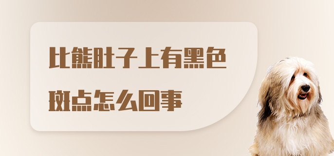 比熊肚子上有黑色斑点怎么回事