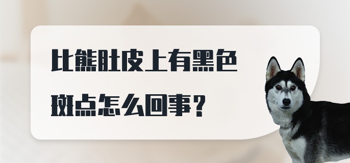 比熊肚皮上有黑色斑点怎么回事？