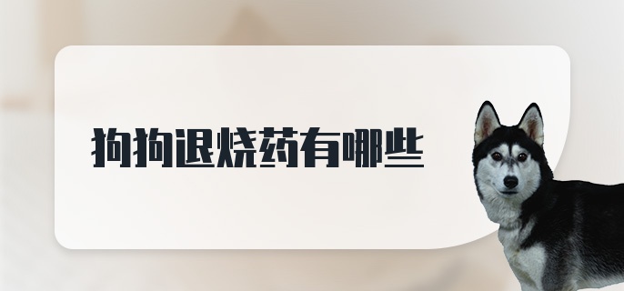 狗狗退烧药有哪些